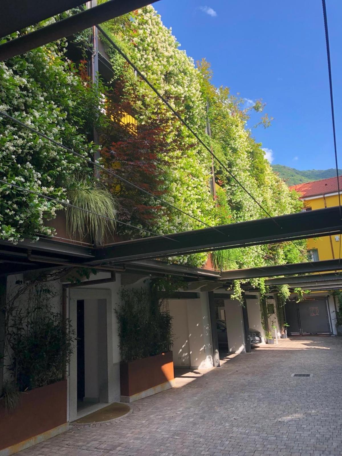 Residence Casa Coppa Appartamento Iris Omegna Exterior photo